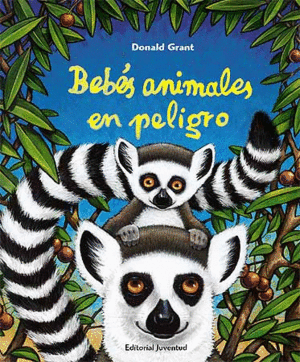 BEBES ANIMALES EN PELIGRO