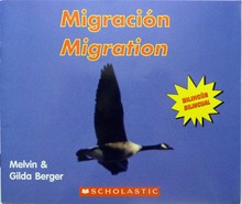 MIGRACIÓN / MIGRATION 