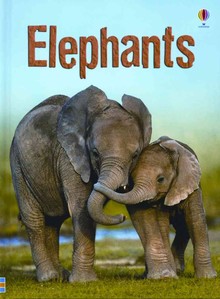 ELEPHANTS 