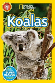 KOALAS