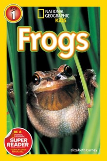 FROGS!