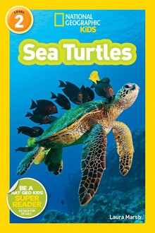 SEA TURTLES