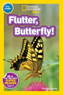 FLUTTER, BUTTERFLY!