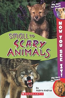 NOW YOU SEE IT! SMALL TO SCARY ANIMALS