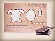 ARMANIMALES TORTUGA CAREY