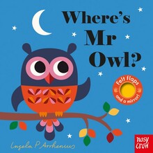 WHERE'S MR OWL?  (FELT FLAPS)