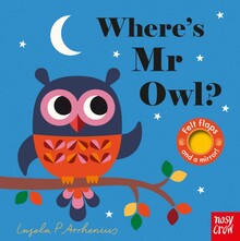 WHERE'S MR OWL?  (FELT FLAPS)